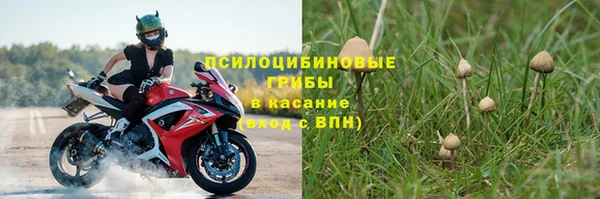 прущий лед Вяземский